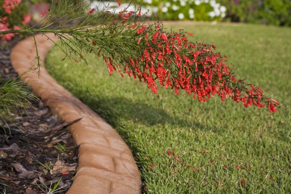 Brick Edging in Arlington