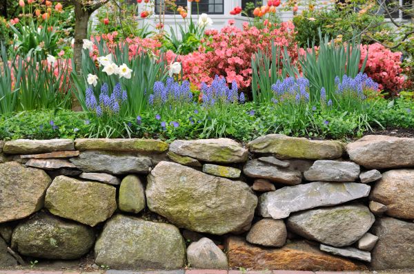 Stone Wall Hardscaping in Arlington