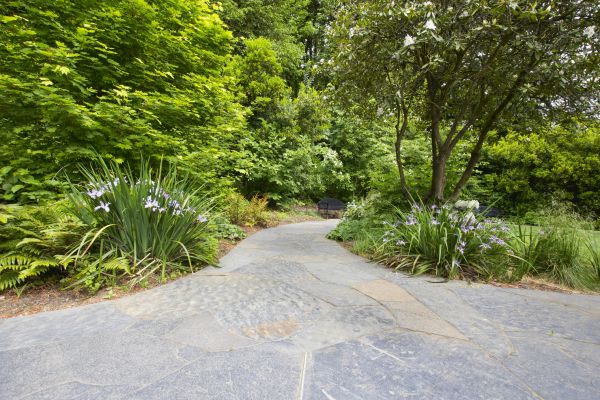 Stone Hardscape Service in Arlington